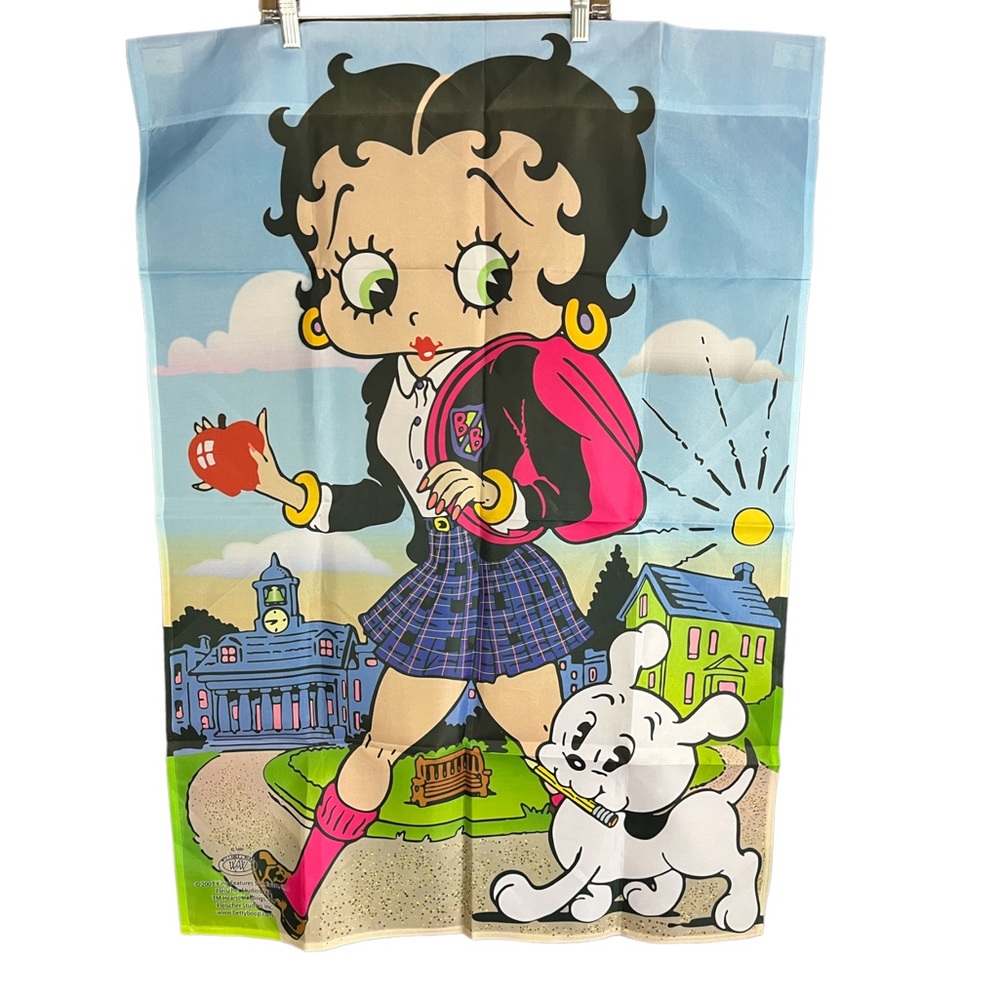 2007 Betty Boop Collectible Flag size 28x39.5 Cute Teacher